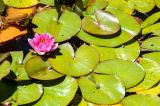 201108151233-AJS_7543.jpg
